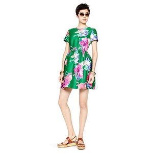 NWT Kate Spade Stelli Dress